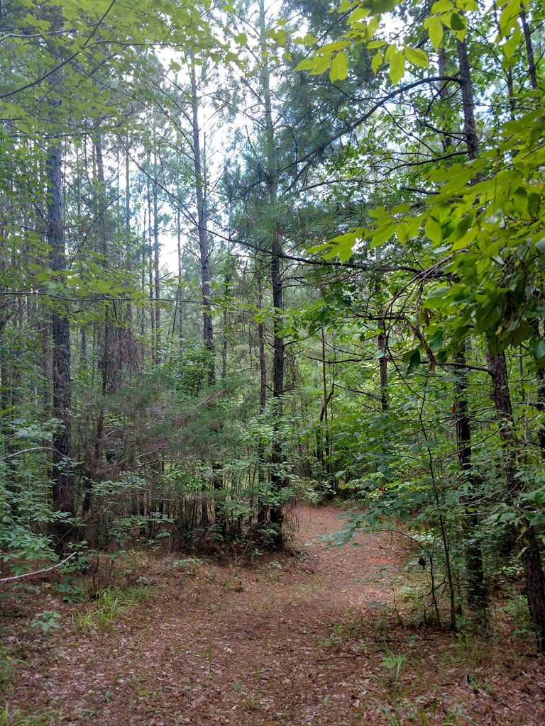 1131 Smith Mill Road Thomson, GA 30824 - Photo 16 of 17