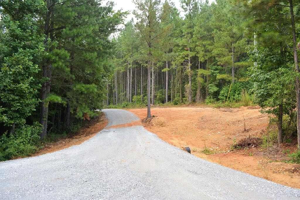 1131 Smith Mill Road Thomson, GA 30824 - Photo 4 of 17
