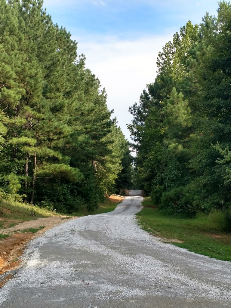 1131 Smith Mill Road Thomson, GA 30824 - Photo 5 of 17