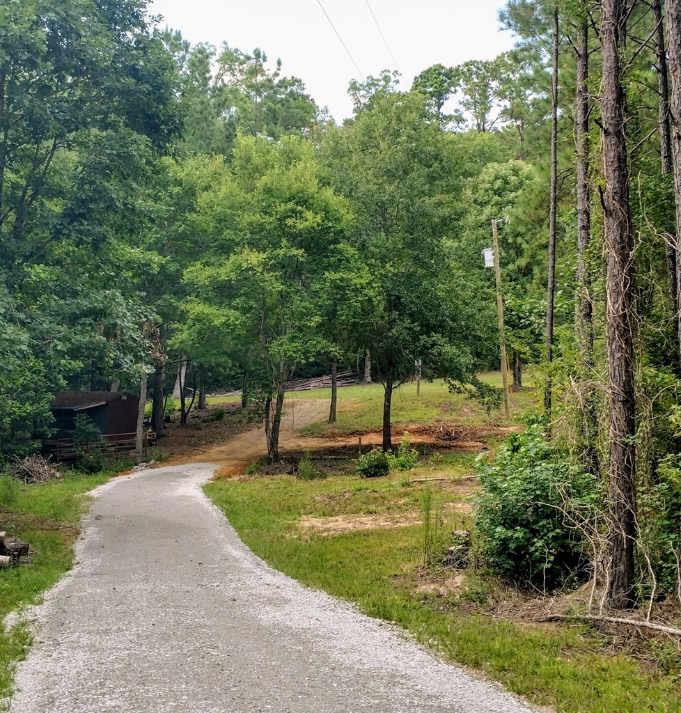 1131 Smith Mill Road Thomson, GA 30824 - Photo 6 of 17