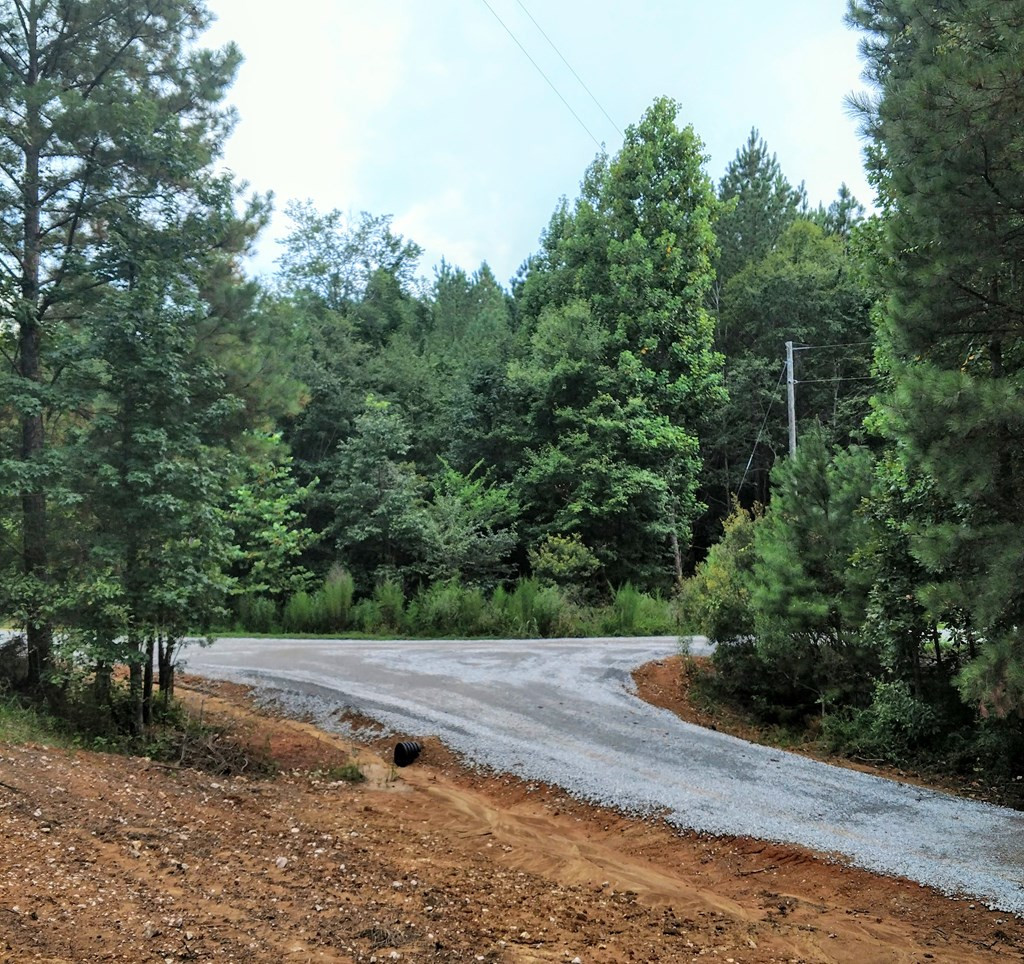 1131 Smith Mill Road Thomson, GA 30824 - Photo 8 of 17
