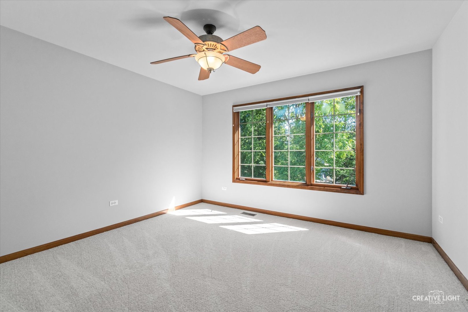 2548 Bangert Lane Naperville, IL 60564 - Photo 22 of 30