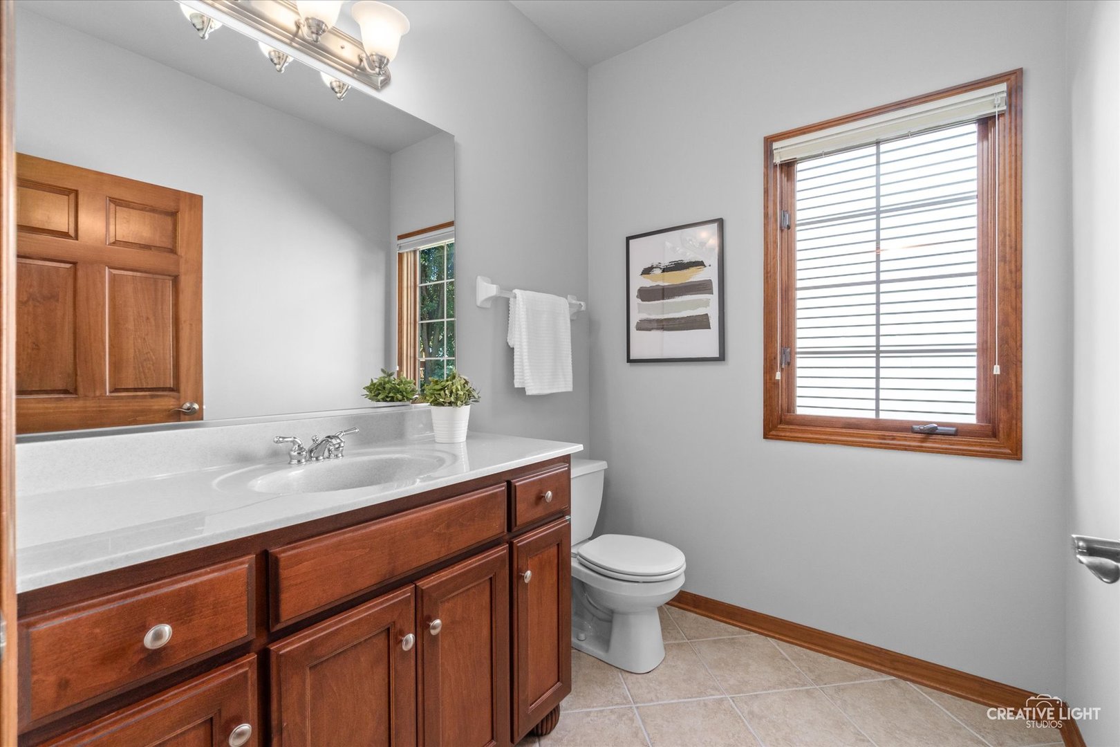2548 Bangert Lane Naperville, IL 60564 - Photo 6 of 30