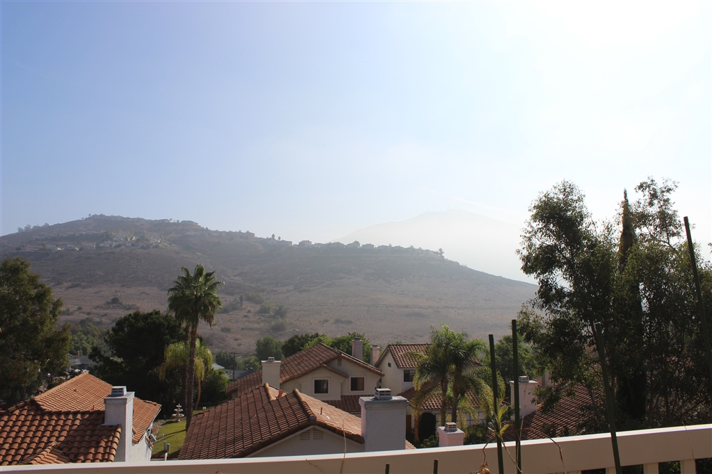 10239 Greenleaf Road Spring Valley, CA 91977 - Photo 16 of 23
