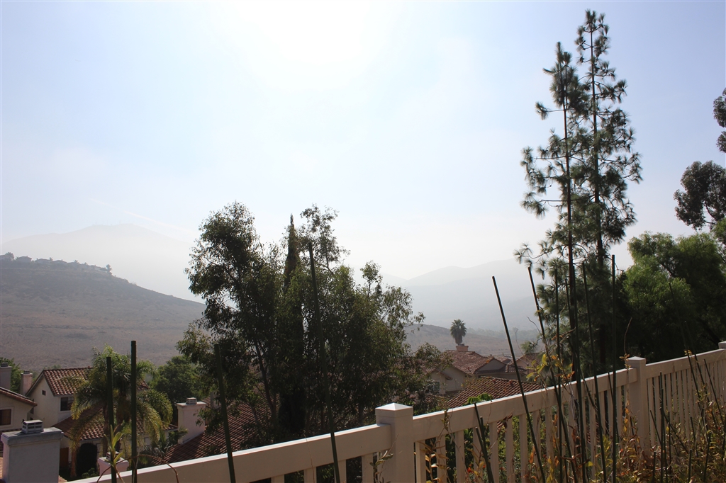 10239 Greenleaf Road Spring Valley, CA 91977 - Photo 17 of 23