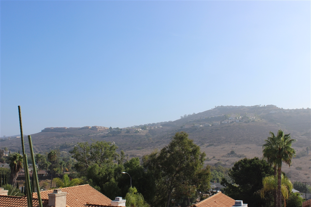 10239 Greenleaf Road Spring Valley, CA 91977 - Photo 18 of 23