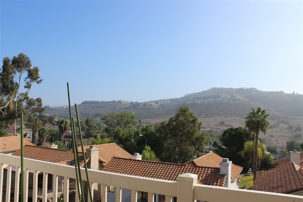 10239 Greenleaf Road Spring Valley, CA 91977 - Photo 4 of 23