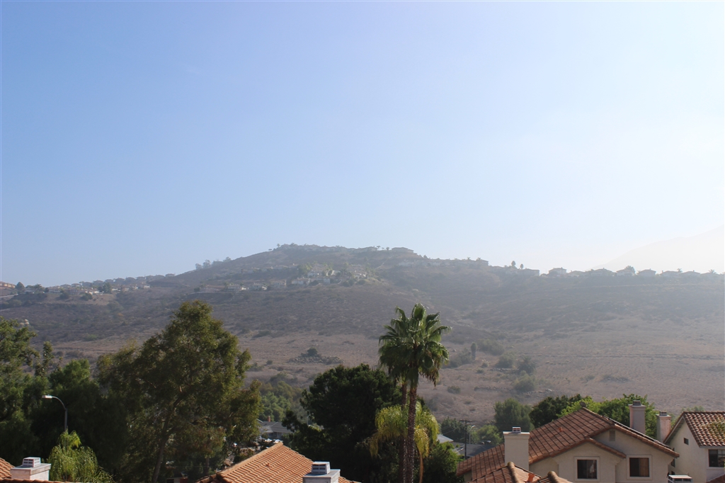 10239 Greenleaf Road Spring Valley, CA 91977 - Photo 5 of 23
