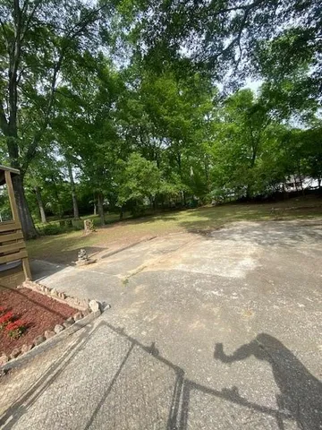 a view of a yard with plants and large trees