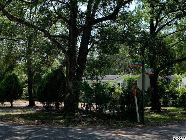 4520 Albatross Street North Myrtle Beach, SC 29582 - Photo 2 of 25