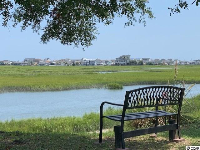 4520 Albatross Street North Myrtle Beach, SC 29582 - Photo 16 of 25