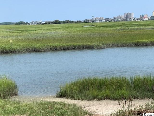 4520 Albatross Street North Myrtle Beach, SC 29582 - Photo 17 of 25