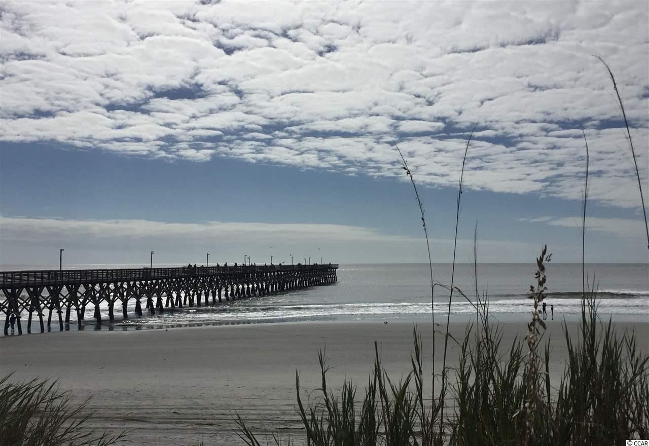 4520 Albatross Street North Myrtle Beach, SC 29582 - Photo 22 of 25