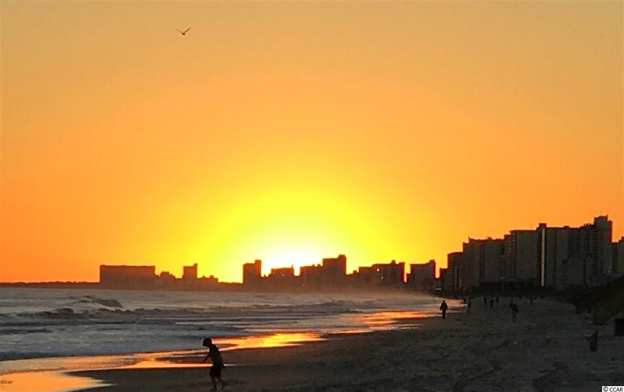 4520 Albatross Street North Myrtle Beach, SC 29582 - Photo 23 of 25