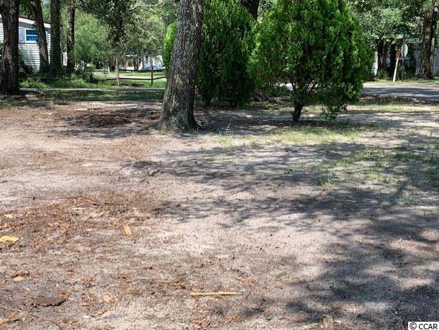 4520 Albatross Street North Myrtle Beach, SC 29582 - Photo 7 of 25