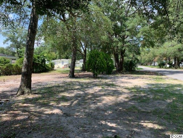 4520 Albatross Street North Myrtle Beach, SC 29582 - Photo 9 of 25