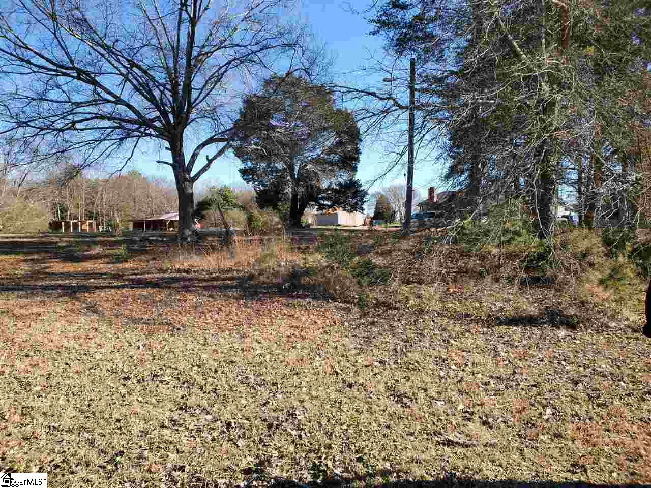 1479 Currys Lake Road Gray Court, SC 29645 - Photo 36 of 36