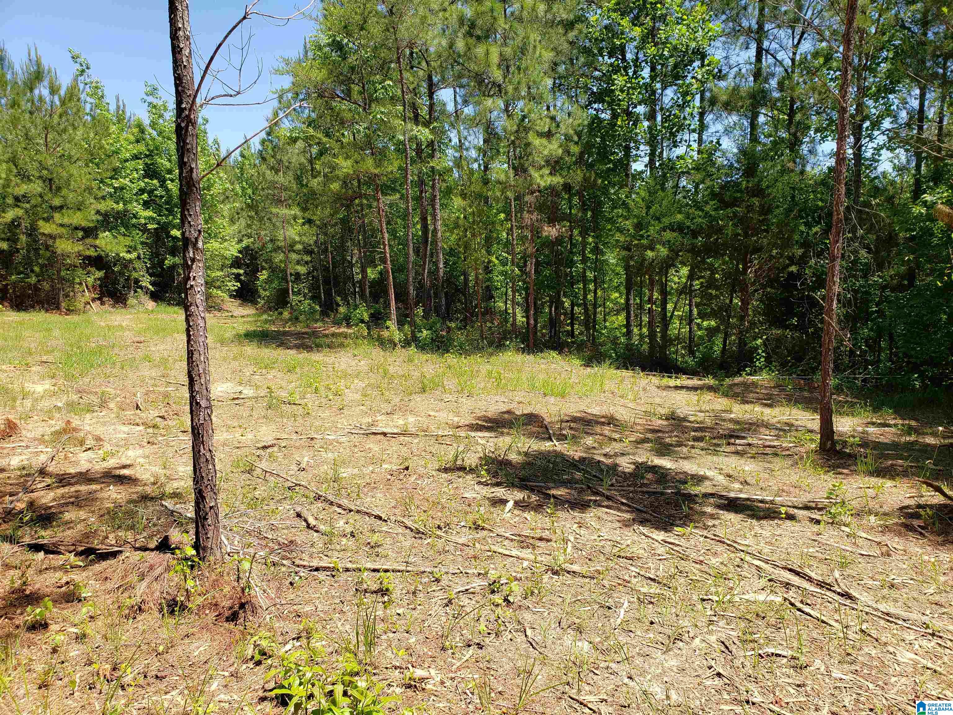 0 Clements Road, Unit 1 Cottondale, AL 35453 - Photo 4 of 16