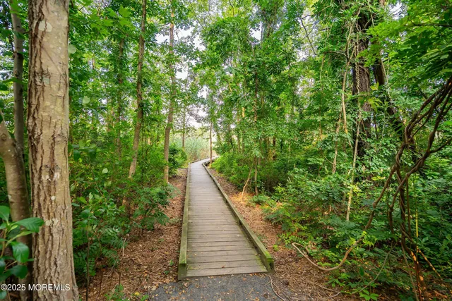a view of a pathway both side of yard