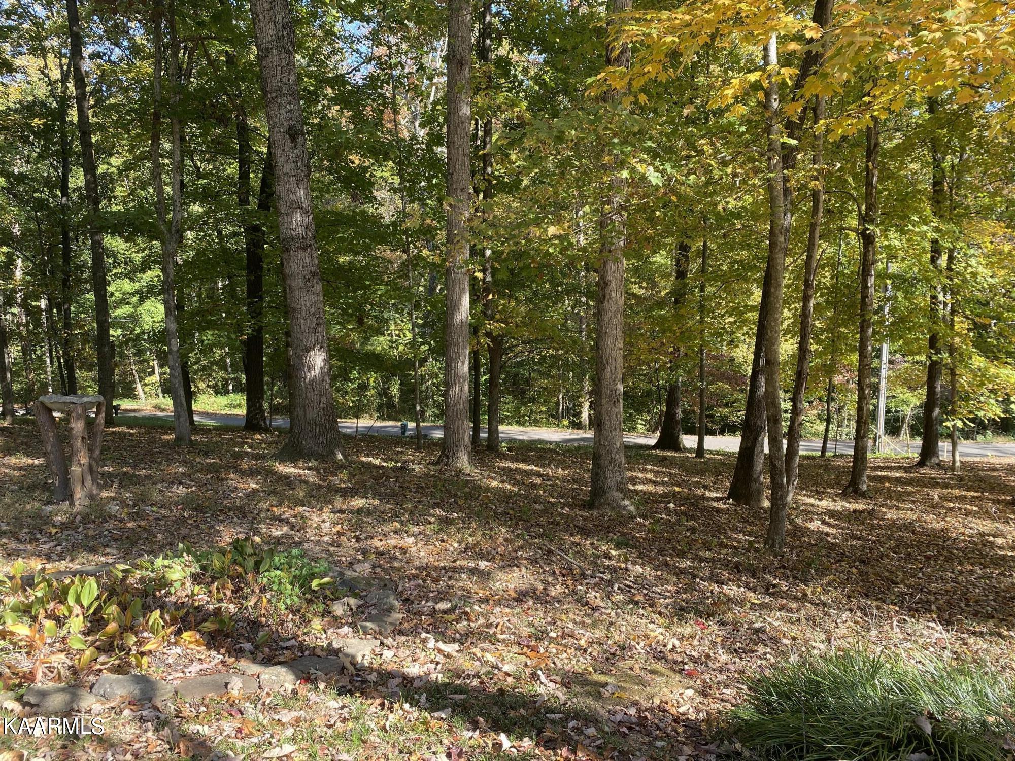 330 Powder House Road Powell, TN 37849 - Photo 3 of 39 Front Yard