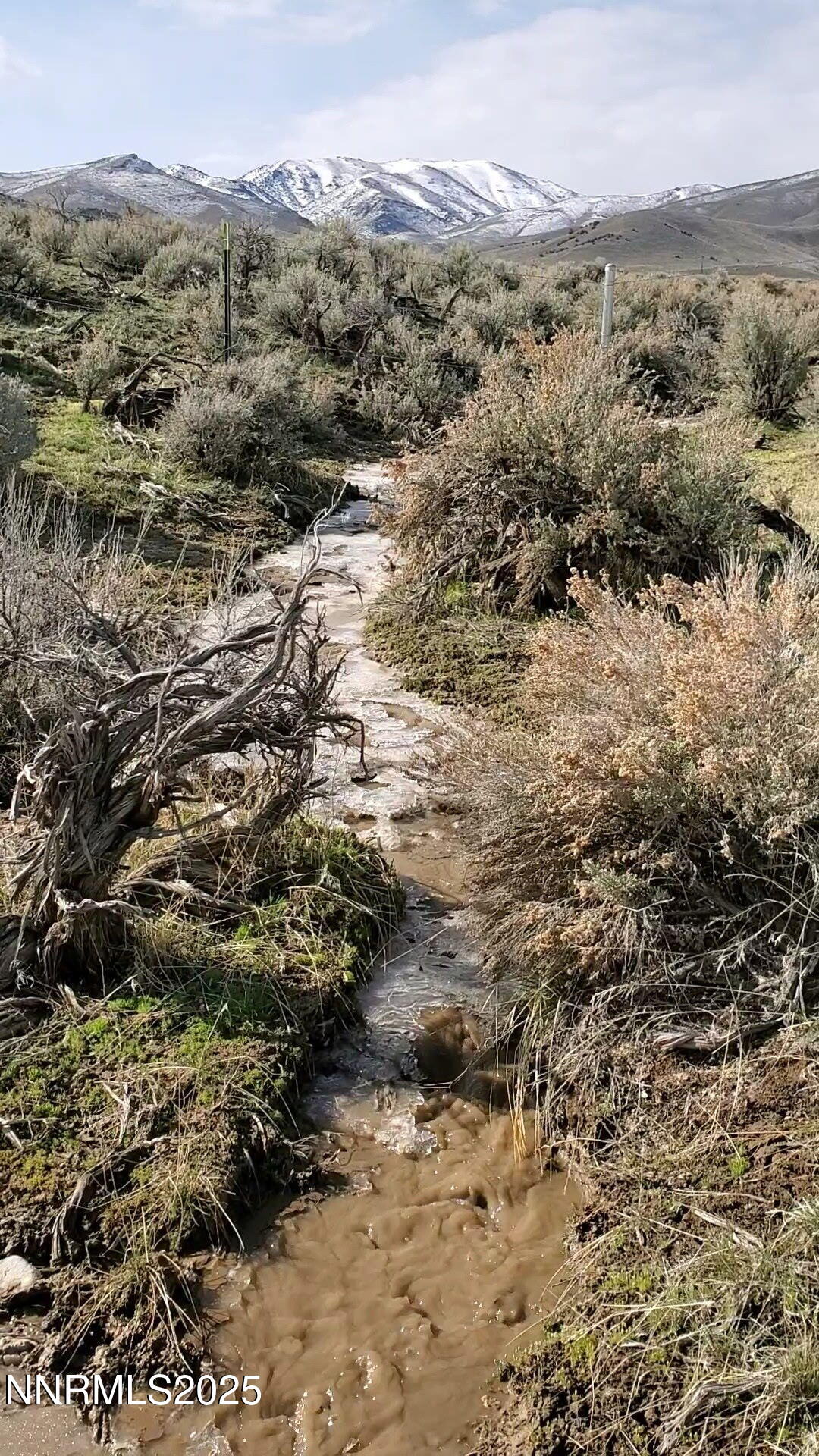 10355 Bobcat Road Winnemucca, NV 89445 - Photo 14 of 14 a view of a forest with a mountain