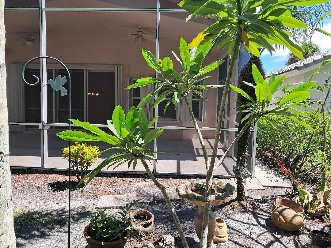 7260 Southeast Magellan Lane Stuart, FL 34997 - Photo 49 of 59 back garden