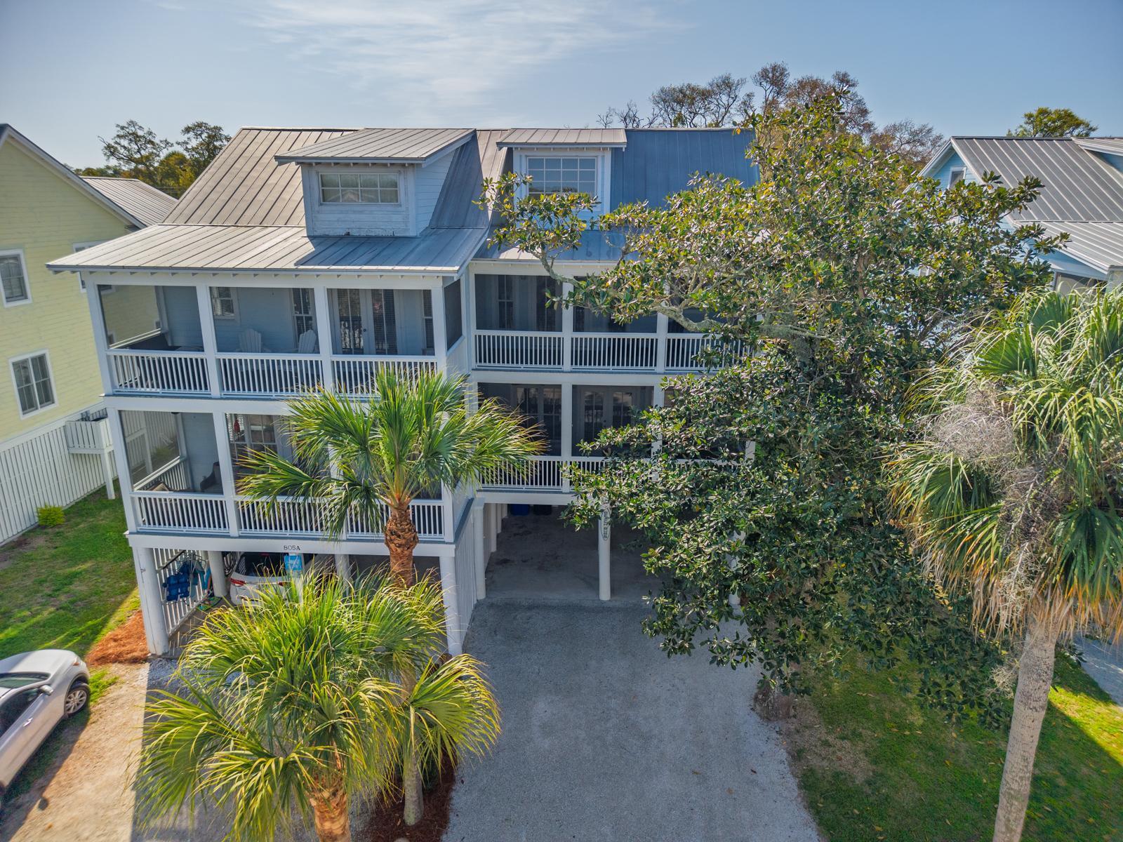 Jungle Shores View