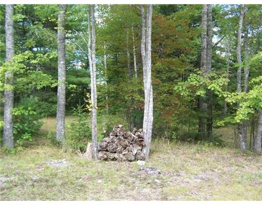 571 Bert Gray Road Sullivan, ME 04664 - Photo 2 of 13 Land.