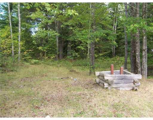 571 Bert Gray Road Sullivan, ME 04664 - Photo 3 of 13 Land.