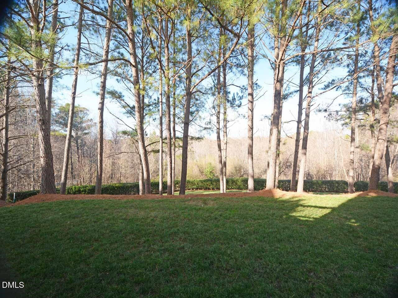 6901 Middleboro Drive Raleigh, NC 27612 - Photo 36 of 42 a garden view