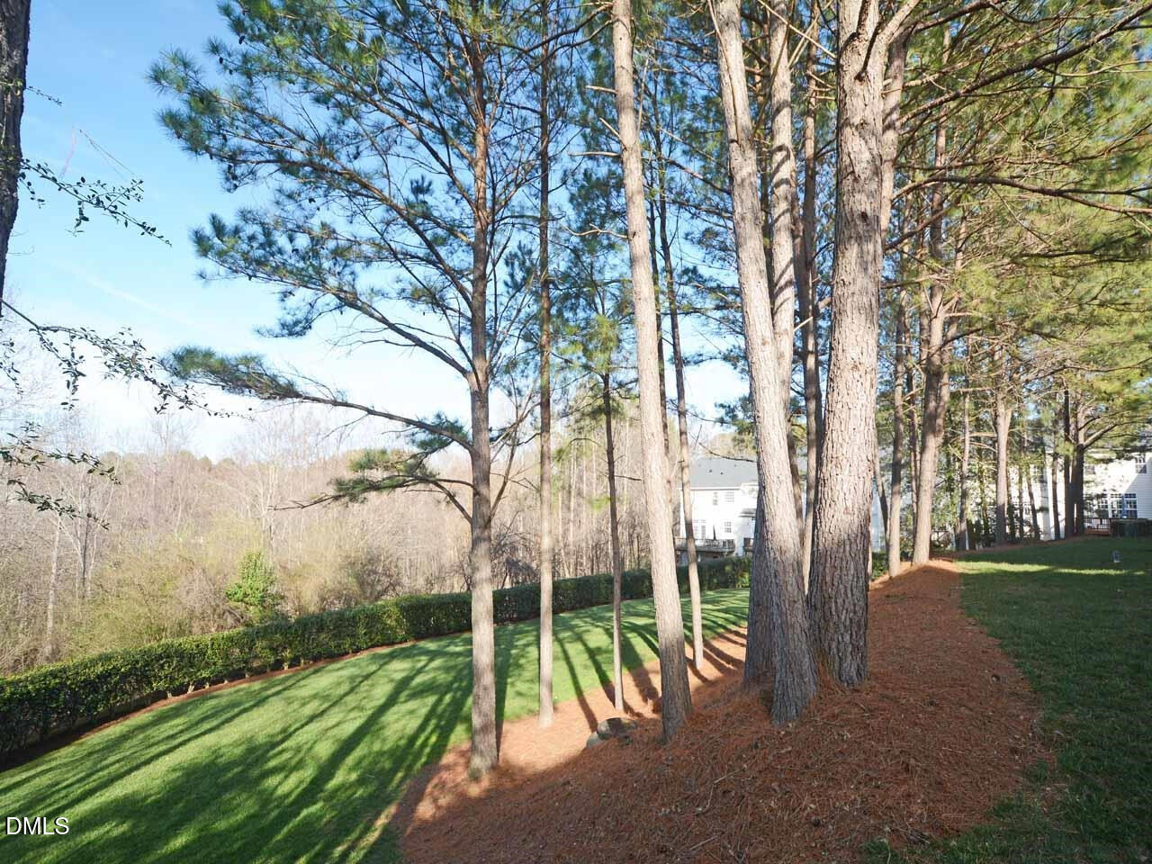 6901 Middleboro Drive Raleigh, NC 27612 - Photo 37 of 42 a view of park