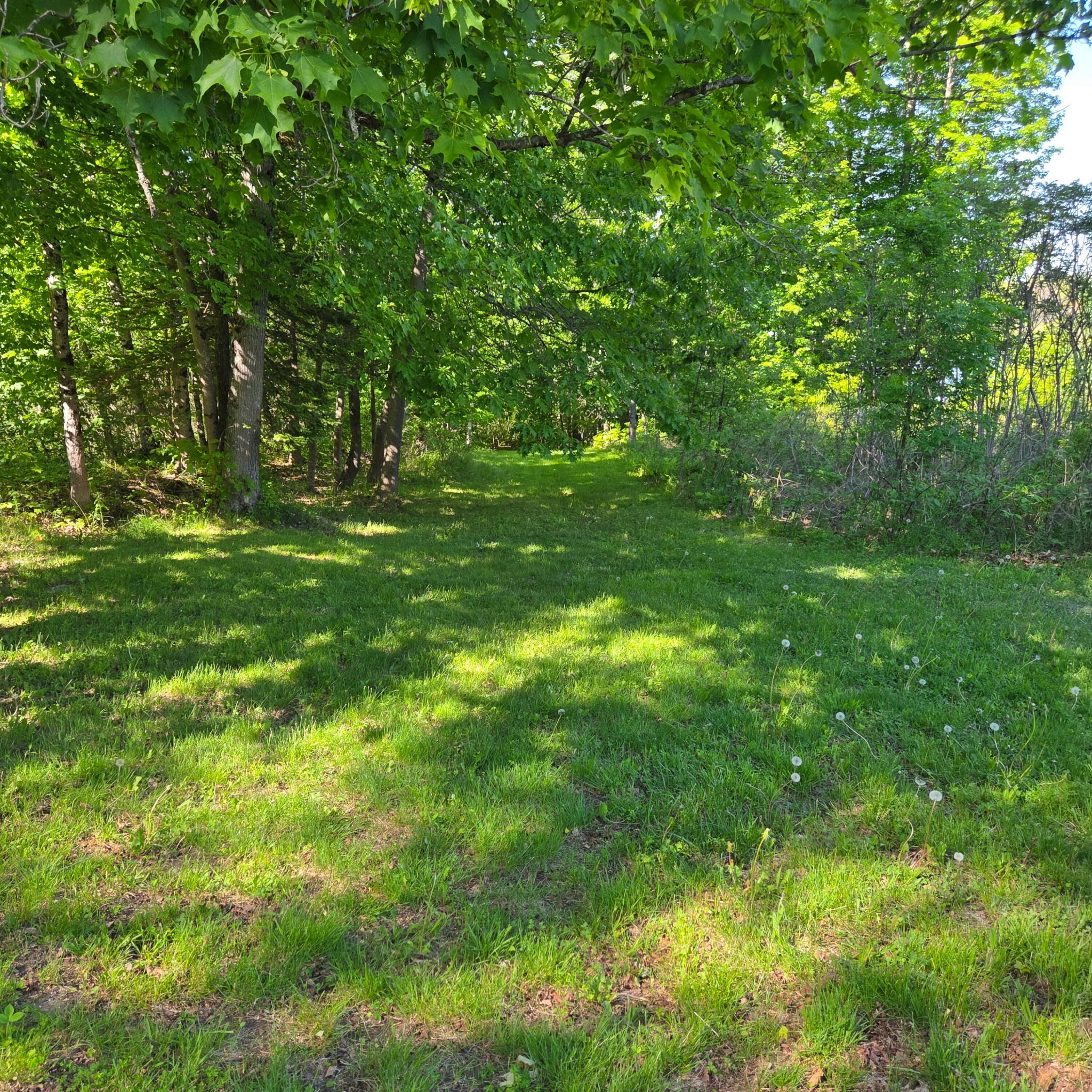 282 Pattagumpus Road Medway, ME 04460 - Photo 17 of 21 20260603_161540