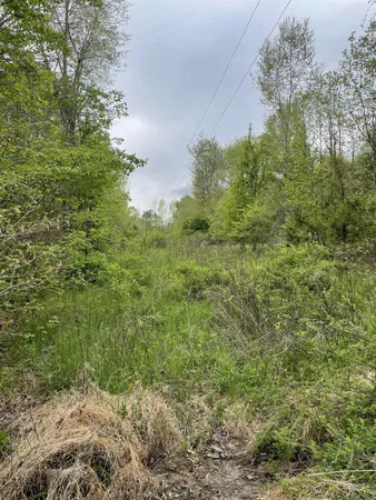 $70,000 | 4200 Carr Store Road, Cedar Grove, NC 27231