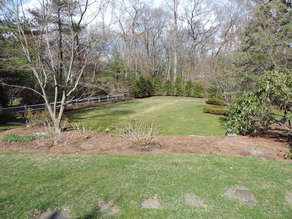 19 Meadowbrook Road Weston, MA 02493 - Photo 29 of 30 a view of a backyard with large trees