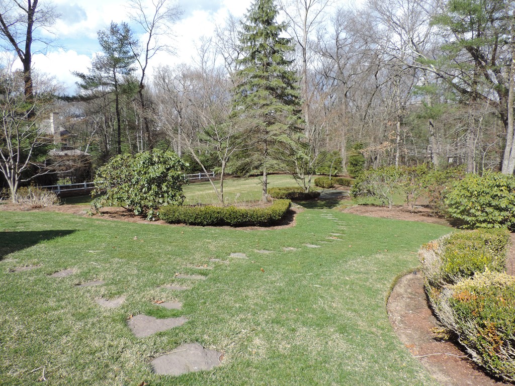 19 Meadowbrook Road Weston, MA 02493 - Photo 30 of 30 a garden with lots of trees