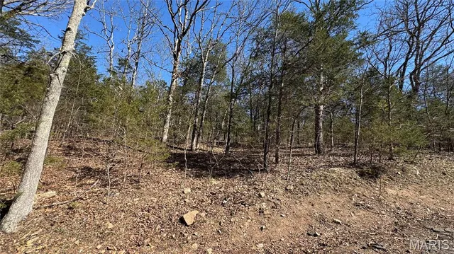 $10,000 | 0 Holiday Shores Drive, Bismarck, MO 63624