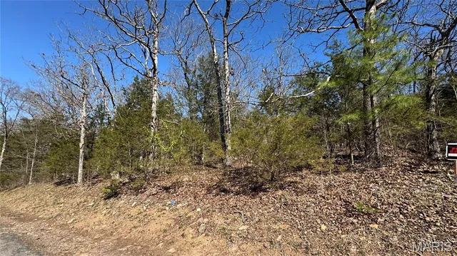 $10,000 | 0 Holiday Shores Drive, Bismarck, MO 63624