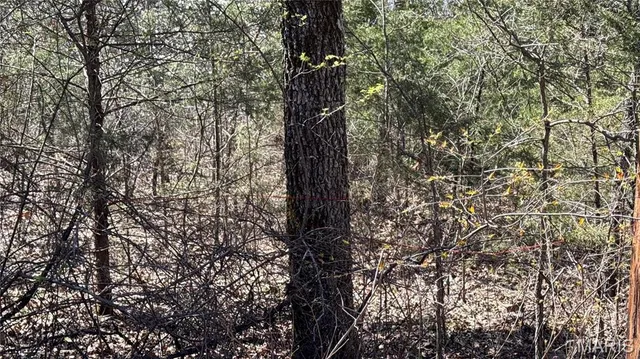 $10,000 | 0 Holiday Shores Drive, Bismarck, MO 63624