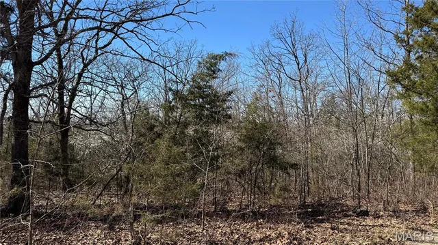 $10,000 | 0 Holiday Shores Drive, Bismarck, MO 63624