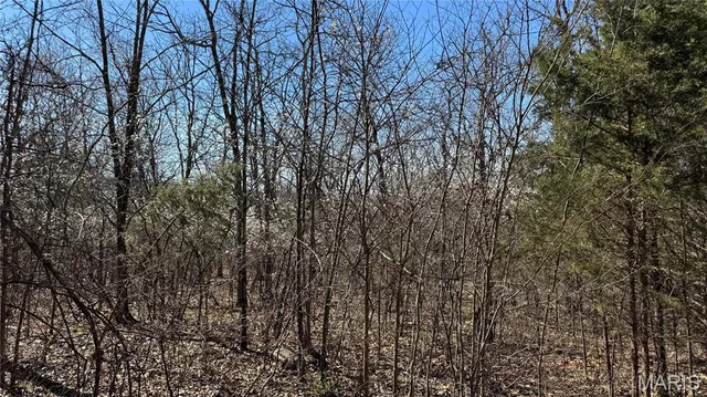 $10,000 | 0 Holiday Shores Drive, Bismarck, MO 63624