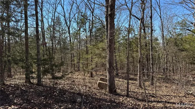 $10,000 | 0 Holiday Shores Drive, Bismarck, MO 63624