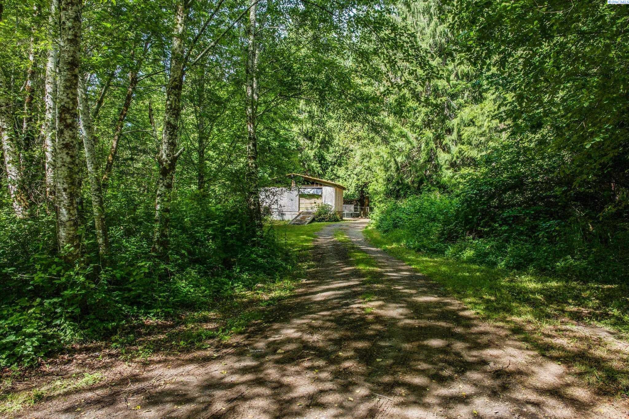 117 Cedar Grove Road Randle, WA 98377 - Photo 3 of 49 Gallery Image 3