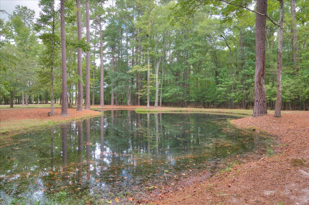 148 Twin Creek Farm Road Aiken, SC 29805 - Photo 51 of 62
