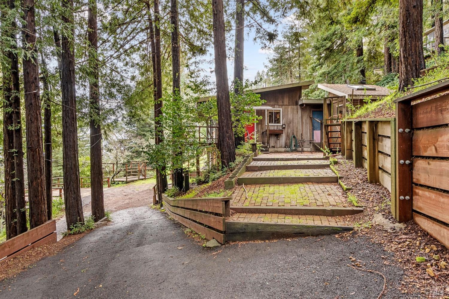 244 Summit Drive Corte Madera, CA 94925 - Photo 11 of 37