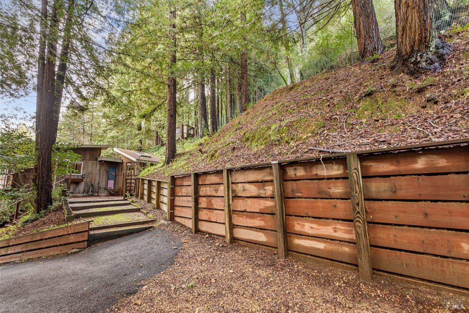 244 Summit Drive Corte Madera, CA 94925 - Photo 12 of 37