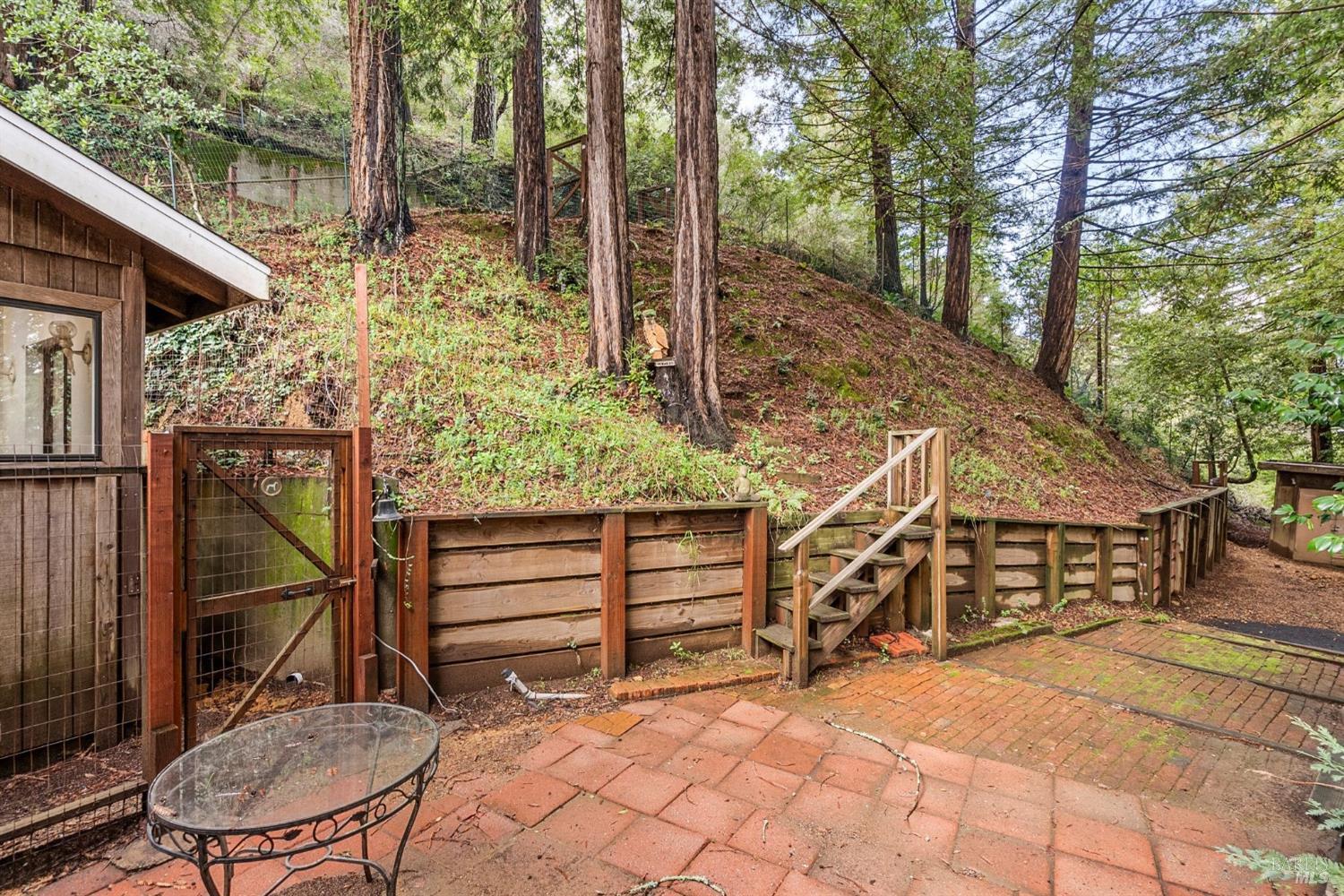 244 Summit Drive Corte Madera, CA 94925 - Photo 14 of 37