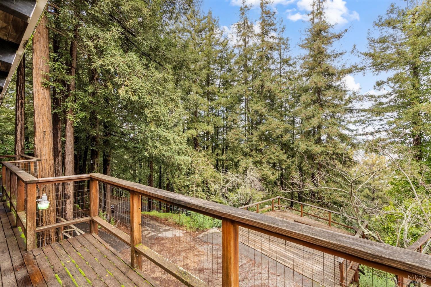 244 Summit Drive Corte Madera, CA 94925 - Photo 35 of 37