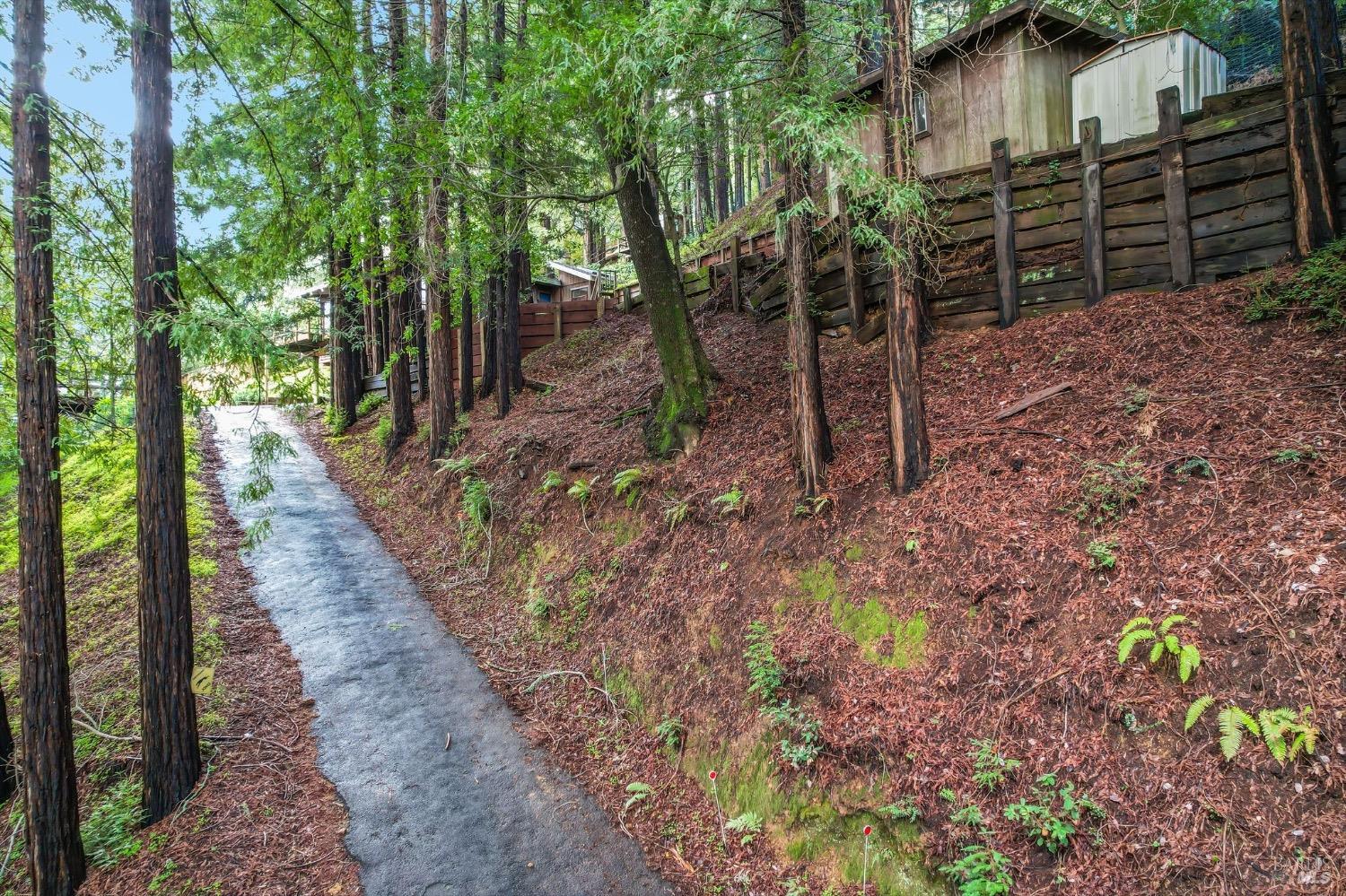 244 Summit Drive Corte Madera, CA 94925 - Photo 36 of 37