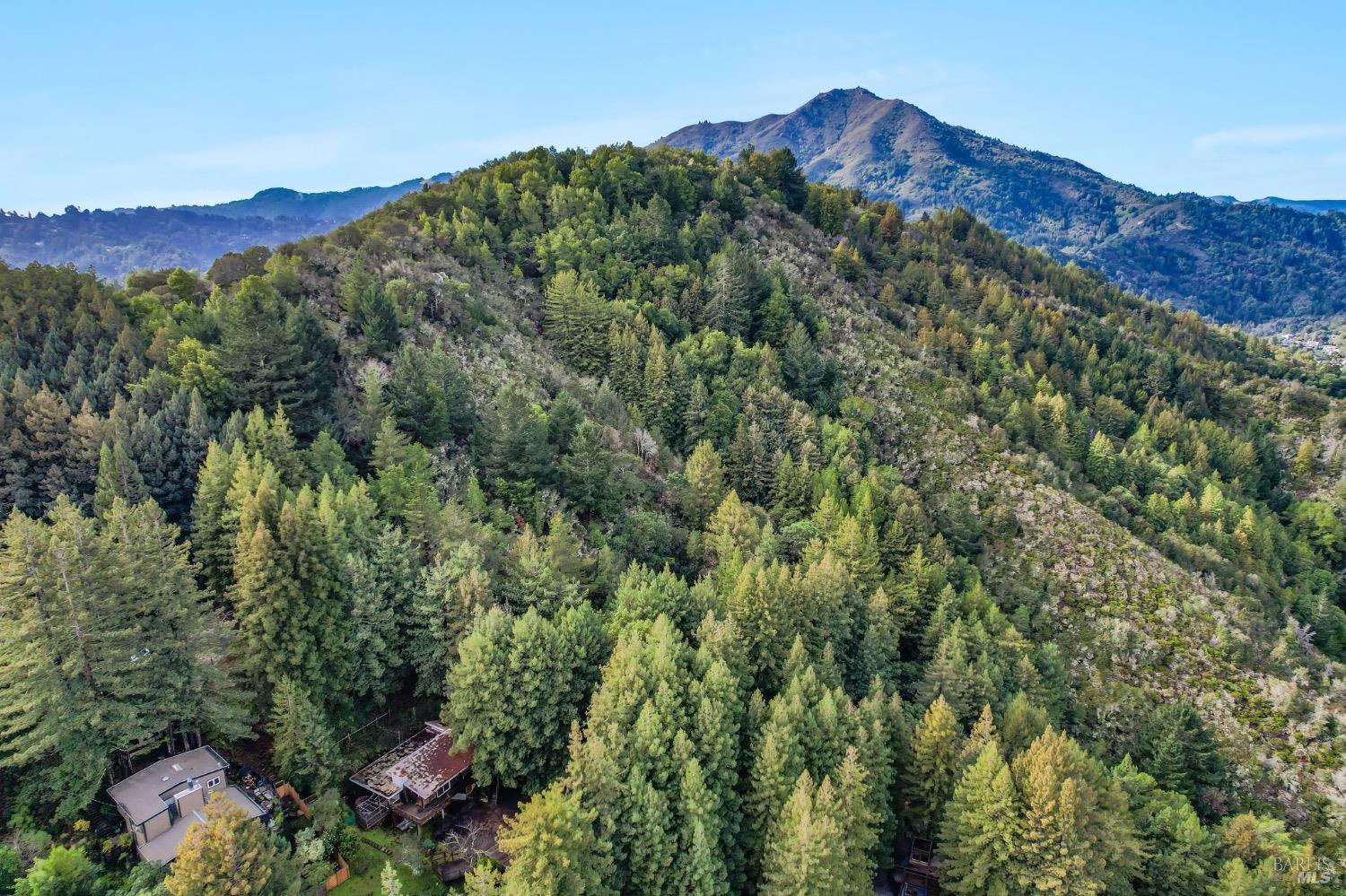 244 Summit Drive Corte Madera, CA 94925 - Photo 5 of 37