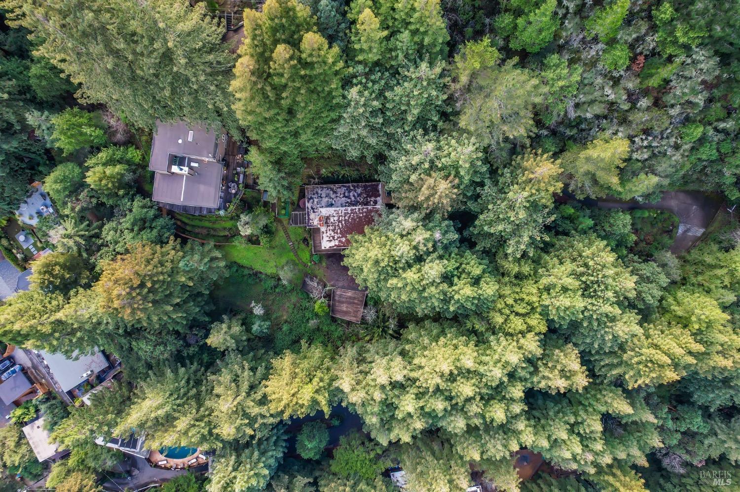 244 Summit Drive Corte Madera, CA 94925 - Photo 8 of 37